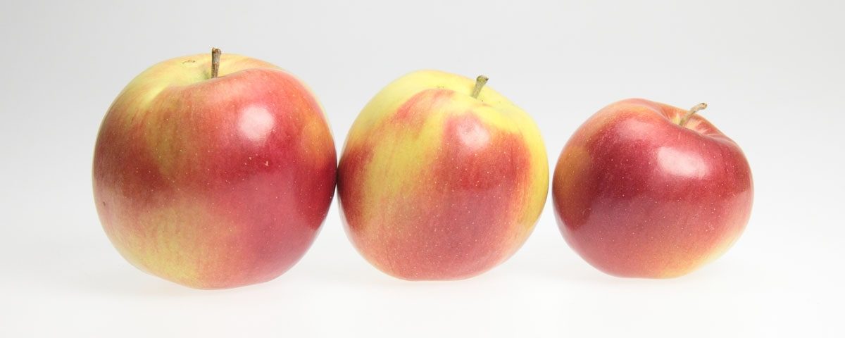 Полезные яблоки
